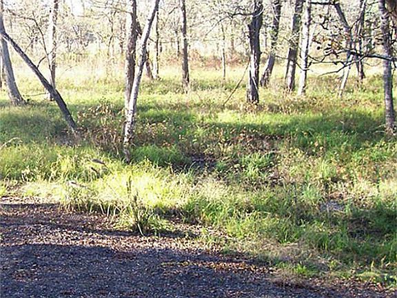 4th image of 1195 County Road 165 Dr