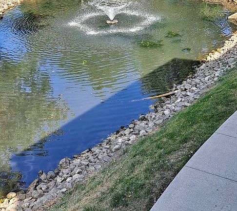 3rd image of 14526 Linder Ct APT M3
