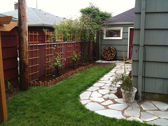 Back Yard View 3