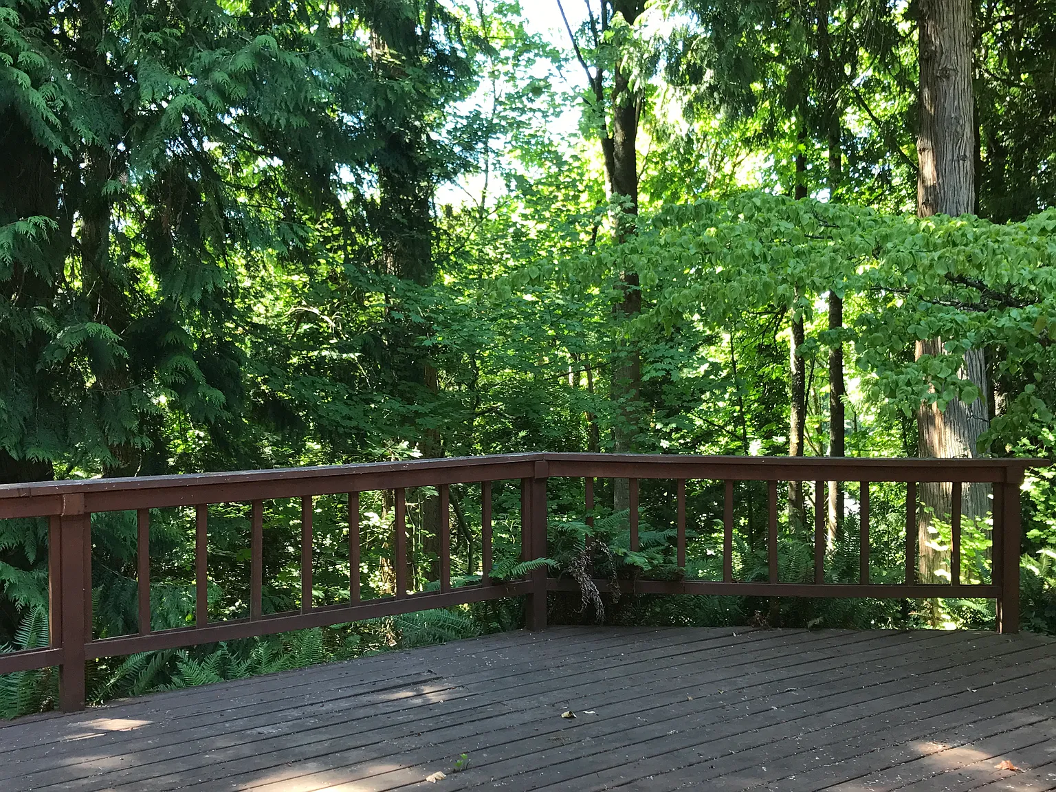 109th Pl NE, Bellevue — Photo 4