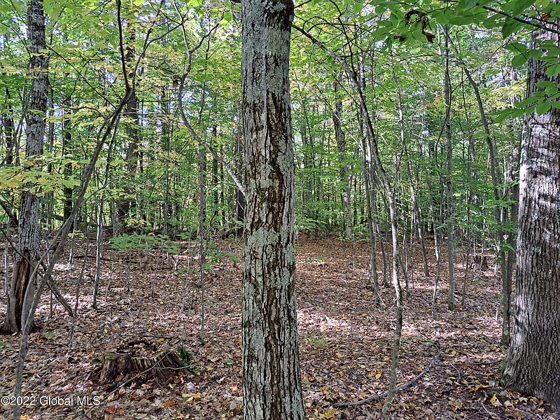 2nd image of L46 Priest Road