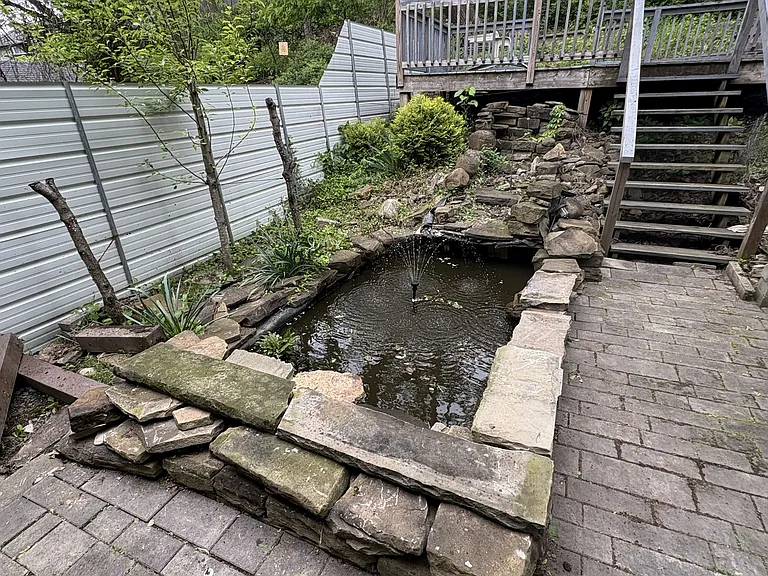 pond - always improving