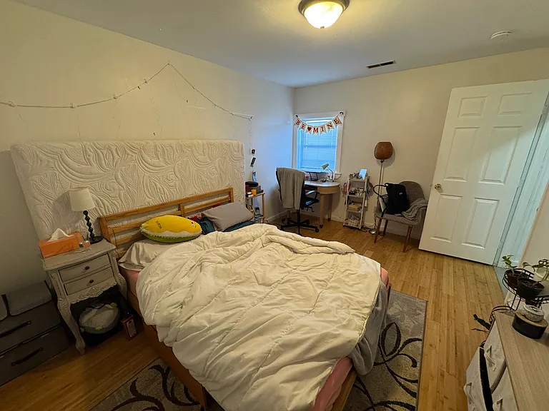 4 Hine Pl #1A — Photo 5