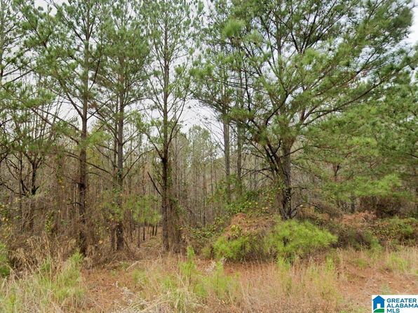 0 Rosser Ests, Duncanville, AL 35456