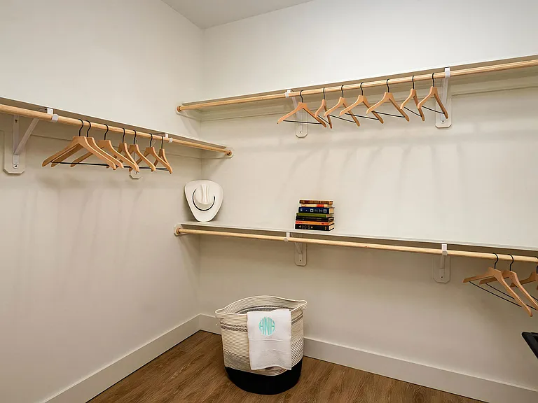 Spacious Walk-In Closet with Built-In Racks and Wood-Style Flooring
