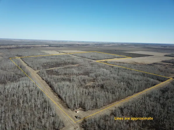 110th Ave, Greenbush, MN 56726
