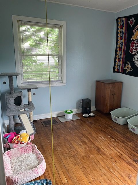 2nd image of 46 Lorene Ave