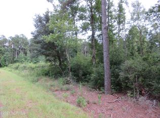 442 Near John Spaulding Rd, Clarkton, NC 28433