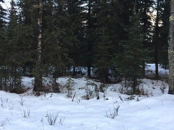 5th image of 24076 Drake Dr