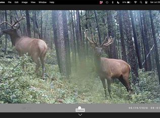 6970 Empire Creek Rd, Canyon Creek, MT 59633