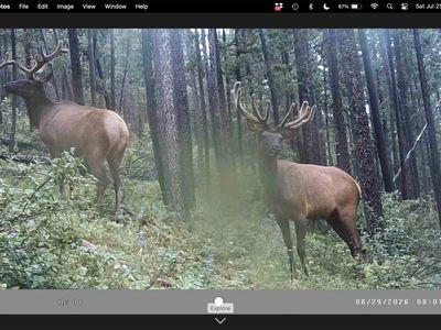 6970 Empire Creek Rd, Canyon Creek, MT, 59633