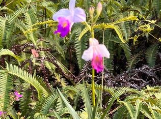 Ala Naulani Rd LOT 41, Volcano, HI 96785