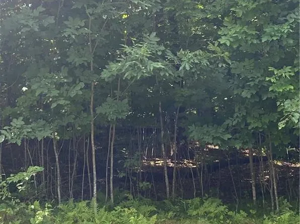 Lot 15 156th Avenue, Stanley, WI 54768