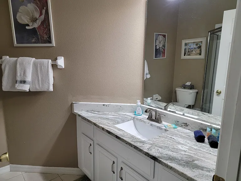 16621 Palm Spring Dr — Photo 29