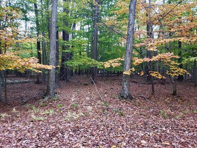 15 Wichita Ct, Gouldsboro, PA, 18424