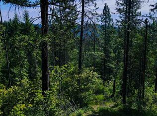 4450 Buck Creek Rd #LOT, Loon Lake, WA 99148