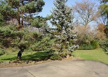 4th image of 3 Steeple Chase Ln
