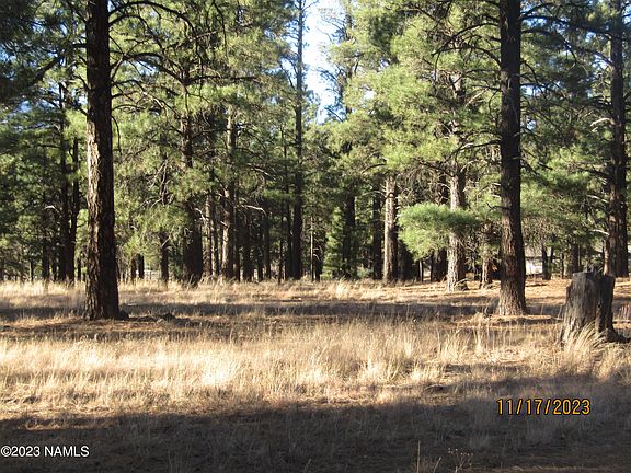 3rd image of 6612 Lynx Ln