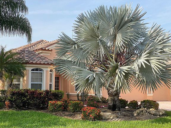 603 Wild Pine Way