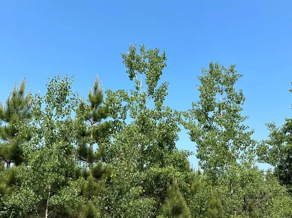 Lund Rd Lot 24, Tomahawk, WI 54487