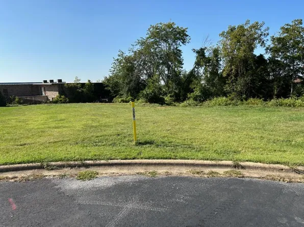 1507 N Stonegate Drive, Mountain Grove, MO 65711