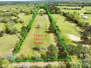 Ginger Rd TRACT 3, Gilmer, TX 75644