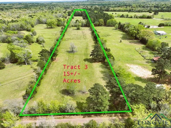 Ginger Rd Tract 3, Gilmer, TX 75644