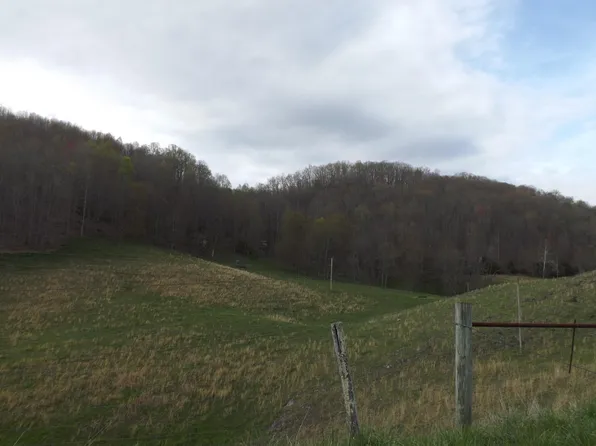 0 Buffalo Hollow Rd, Castlewood, VA 24224