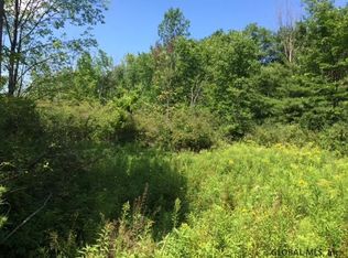 8 Turnbull Rd, Delanson, NY 12053