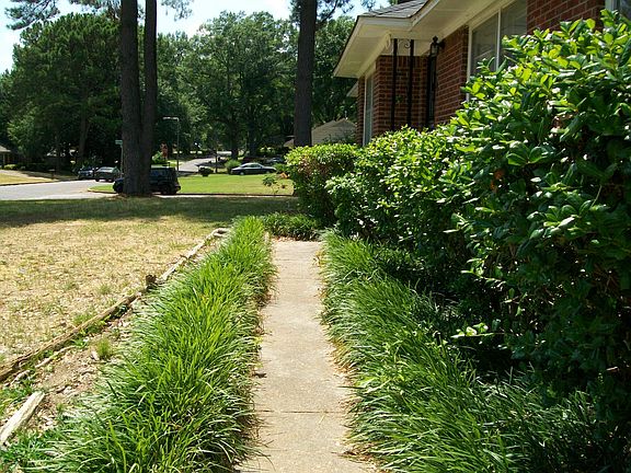 Front walkway lushly landscaped