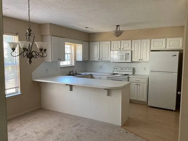 2804-C Mulberry Lane in Greenville, NC 27858 — Photo 3
