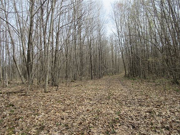 3rd image of 0 Z Road