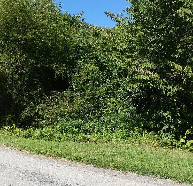 2nd image of Wades Gap Rd Lot 3