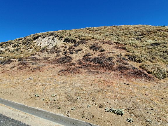 5th image of Littlehorn Dr