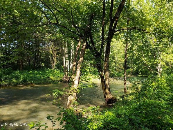 Pawpaw Rd, Thorn Hill, TN 37881