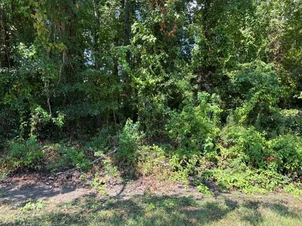Beaver Den Dr, Coldspring, TX 77331