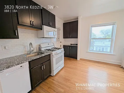3820 N Kedzie Ave #3W Photo 1