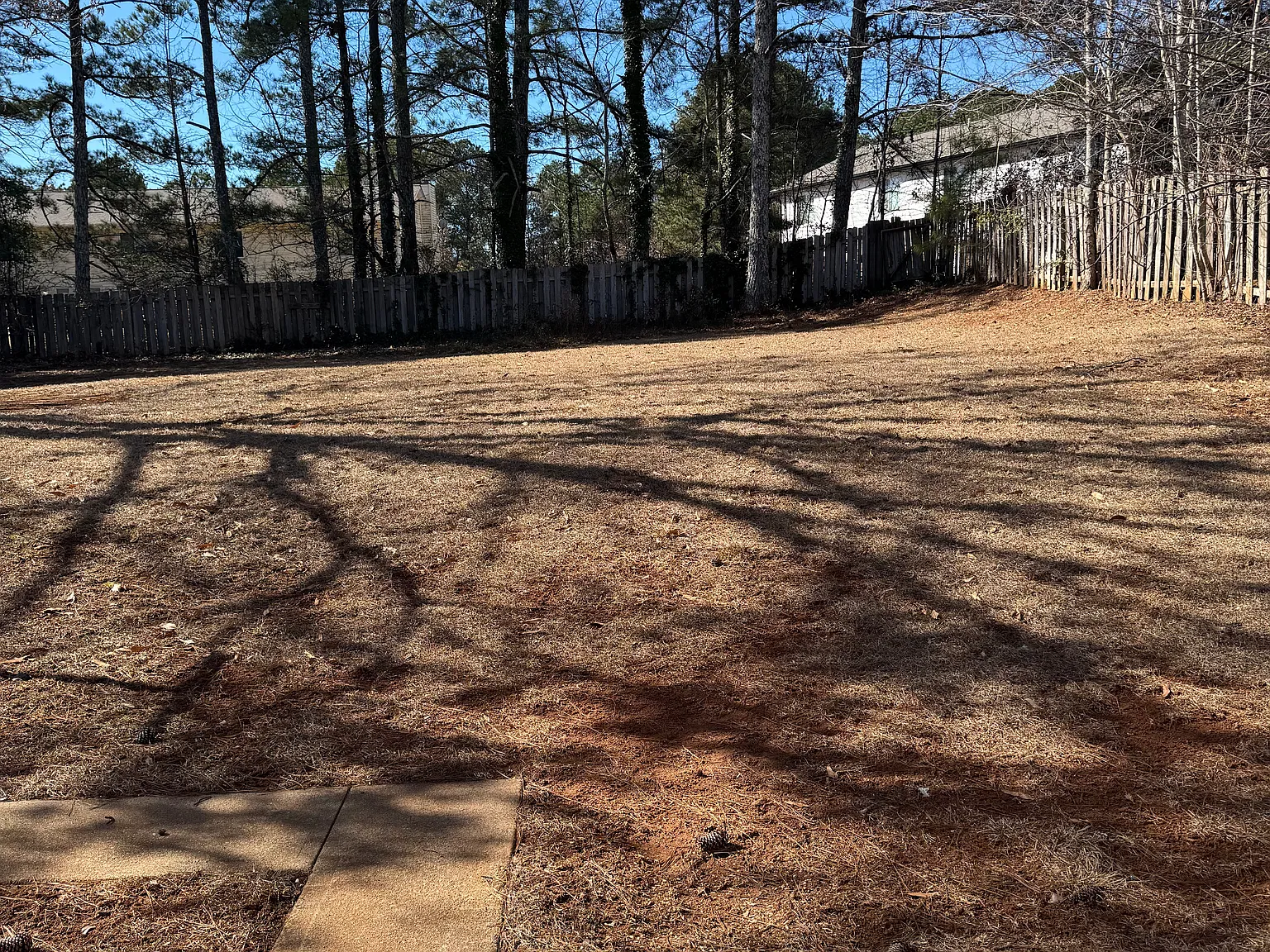 2 bed, 2.5 bath, 1100 sqft, $1,650 — Photo 4
