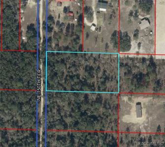 NE 150th Ter, Williston, FL, 32696