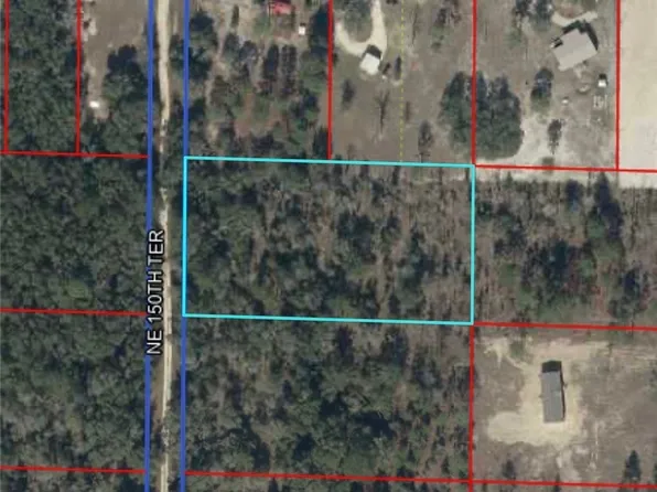 NE 150th Ter, Williston, FL 32696