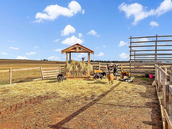 5th image of 279 Primrose Rd