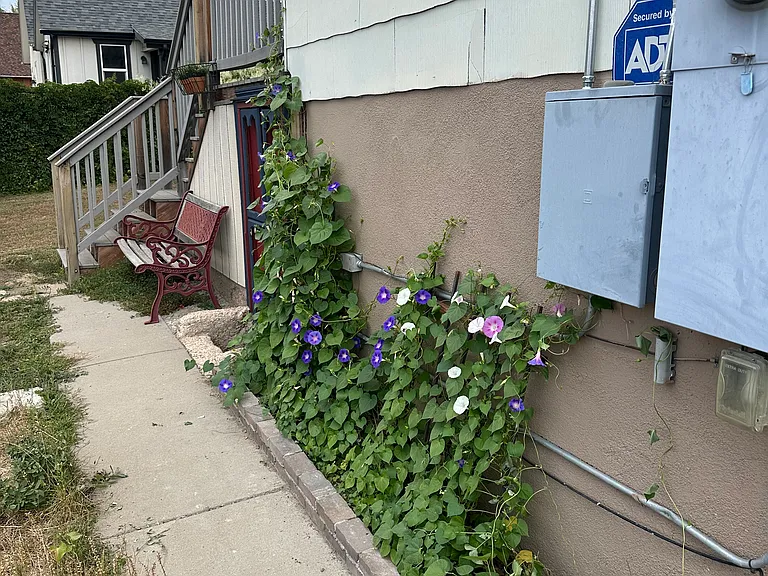 175 S Main St #C — Photo 24