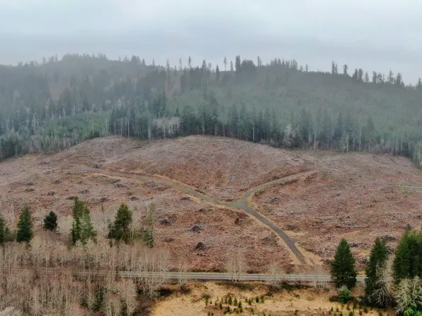 0 M.P. 5 Mill Creek Road, Raymond, WA 98577