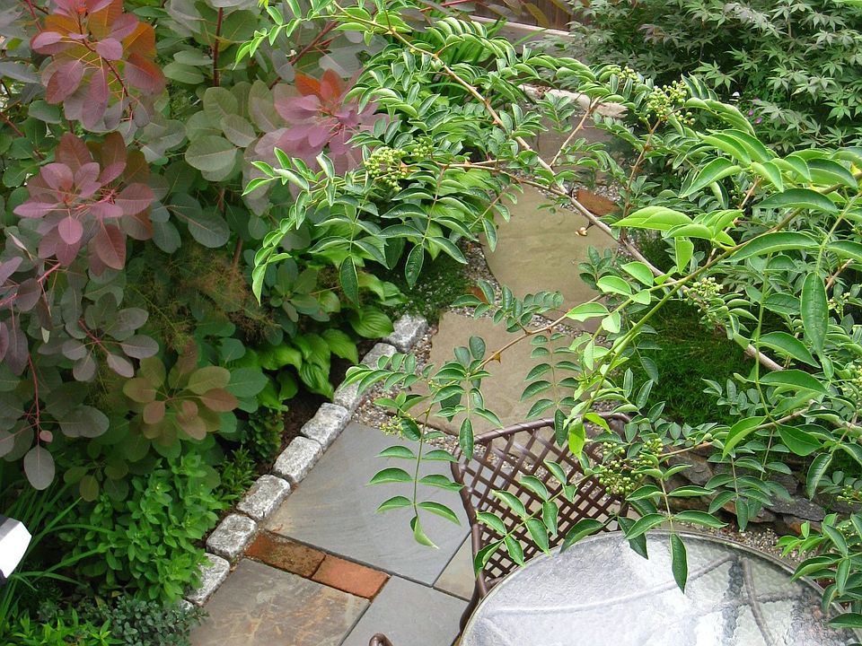 Rear Garden detail