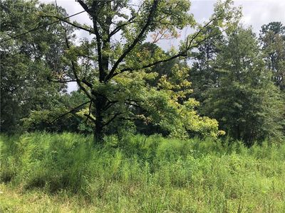 Iverstine, Lane, LA, 70401