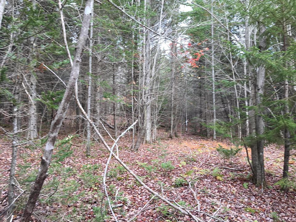 2nd image of 12 W Pine Way