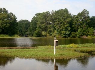 17 Haynesworth Mill Rd, Summerton, SC 29148