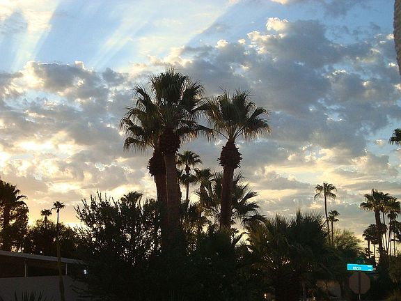 palm springs morning in Winter