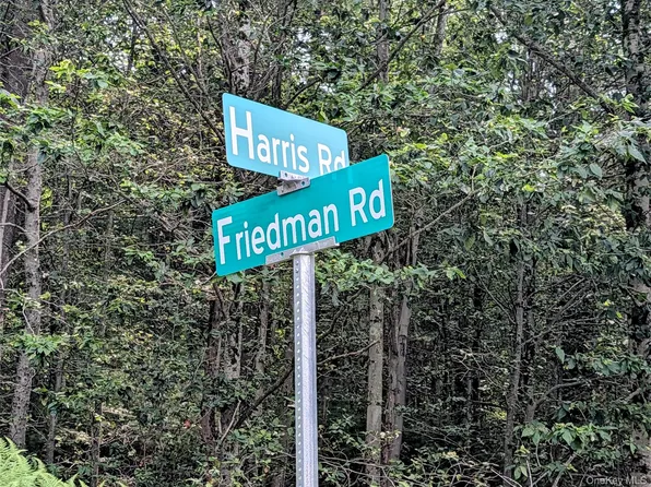 Harris Road, Harris, NY 12742