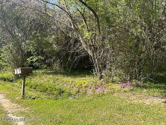 5th image of 408 Mill Quarters Rd Lot 2